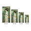 Enchanted in Blossom-1848743010