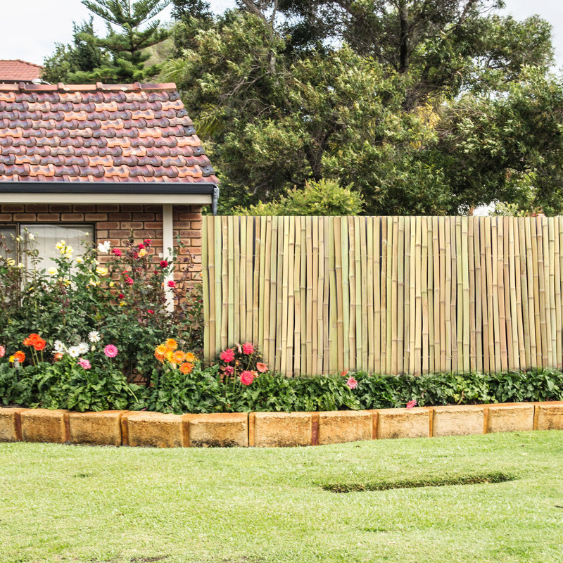 Panneau de clôture en bambou blanc naturel, clôture d'intimité pour le jardin, le patio et la cour, H 4 pi x l 8 pi