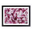 Beautiful Pink Carnation Petals - Single Picture Frame Painting on MDF-56627988-56627989