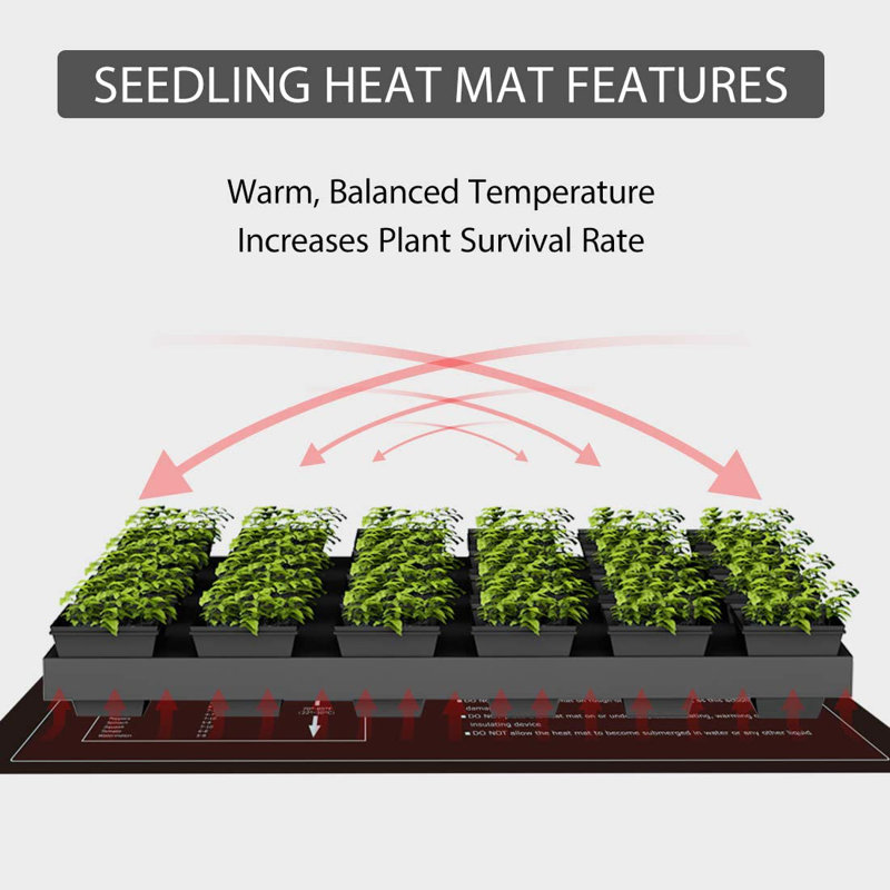 Ensemble de croissance pour tapis chauffant et contrôleur de thermostat Seedling