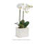 CACHEPOT LOLA CARRÉ GRAND