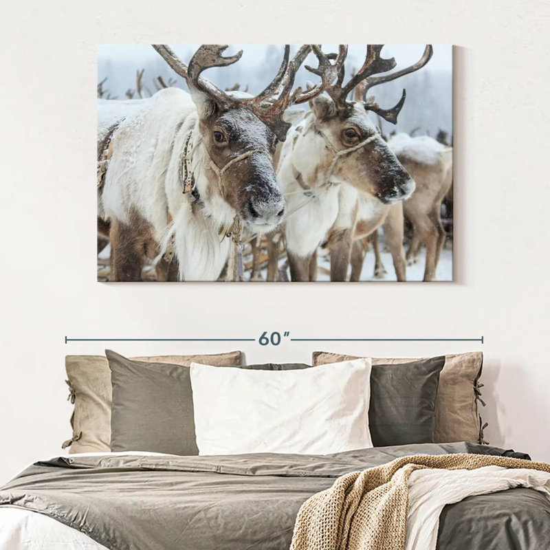 Snow Reindeer, 34" H x 51" W