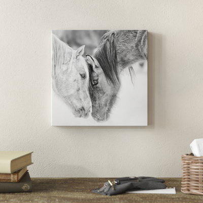 B&W Horses VII by PHBurchett - Print