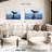 Whale Watching-107982417