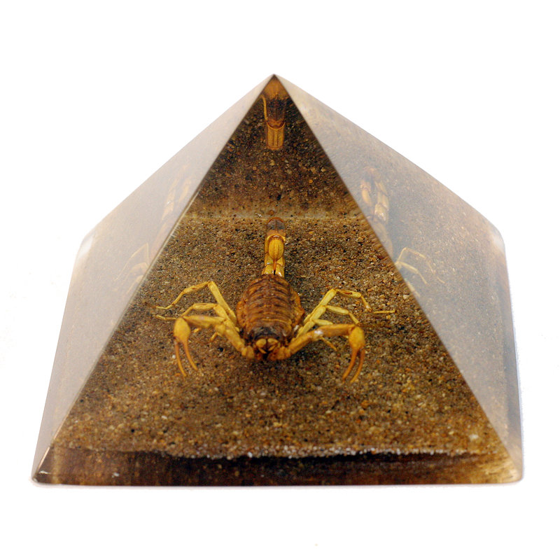 Scorpion luisants de couleur noire Raasch
