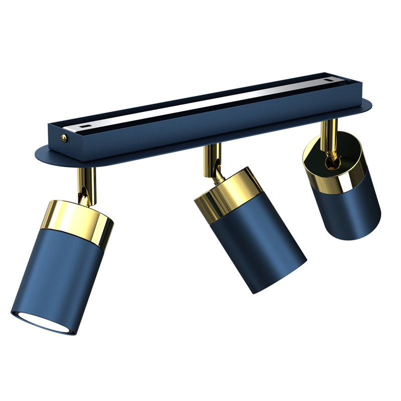 Breidy Spotlight, Blue/Gold