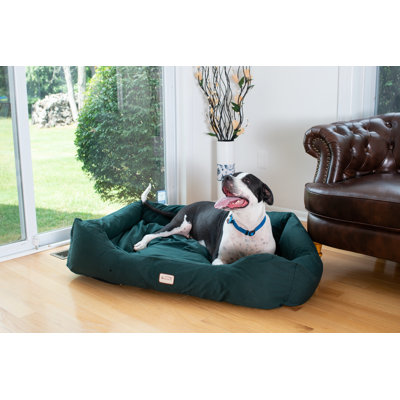 Panier de support pour chien