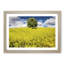 Chestnut Tree in Spring - Picture Frame Painting Print-55536229-55536232