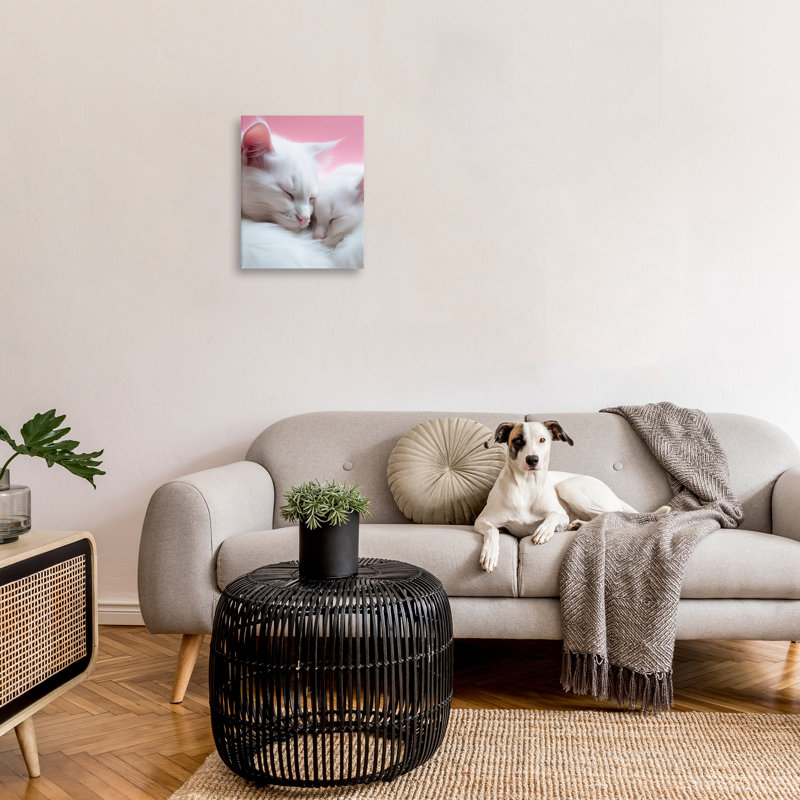 «Sleeping Cats On Pink Wrarap Canvas» par RB sur, H 20 po x l 16 po