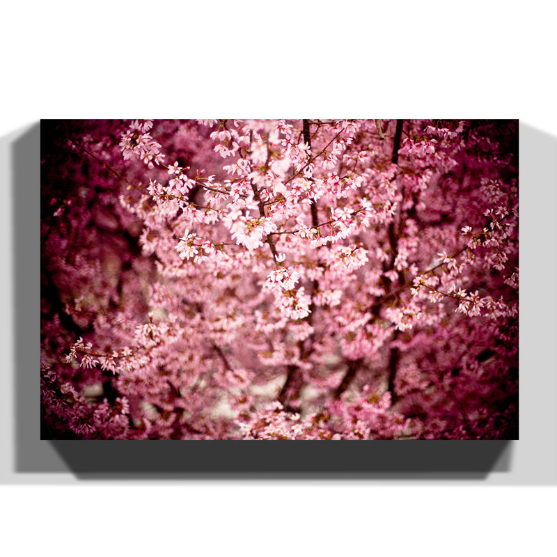 Japanese Cherry Blossom Pink Tree Photographic - Wrapped Canvas, 70cm H x 100cm W