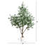 Artificial Grand Olive Tree in White Decorative Planter-2045042808