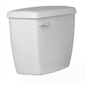 1.6 GPF Elongated 2 Piece Toilet