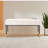 Darius Bench-1016776355
