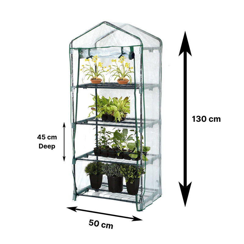 Avdulla 1.5 Ft W x 1.5 Ft D Mini Greenhouse