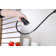 Ultra Faucets Quest Pull Down Kitchen Faucet