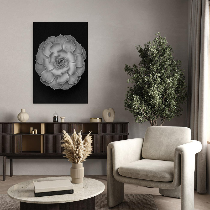 «Succulent Graptoveria Baw 001 Abstract Contemporary Cactus Succulent Landscape Nature», art mural, H 36 po x l 24 po