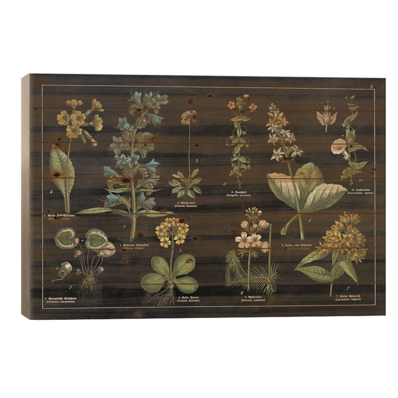 Tableau botanique floral I, H 18 po x l 26 po x P 1,5 po