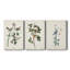 Pl. «153 Yellow-Rump Warbler», ensemble de 3 impressions sur toile tendue-327352860