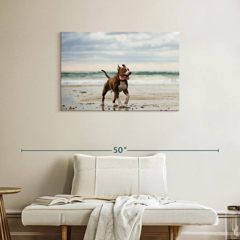 Brampt Pit Bull On Beach, 24" H x 36" W