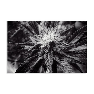 Dark Cannabis Flower Canvas Wall Art by LIH