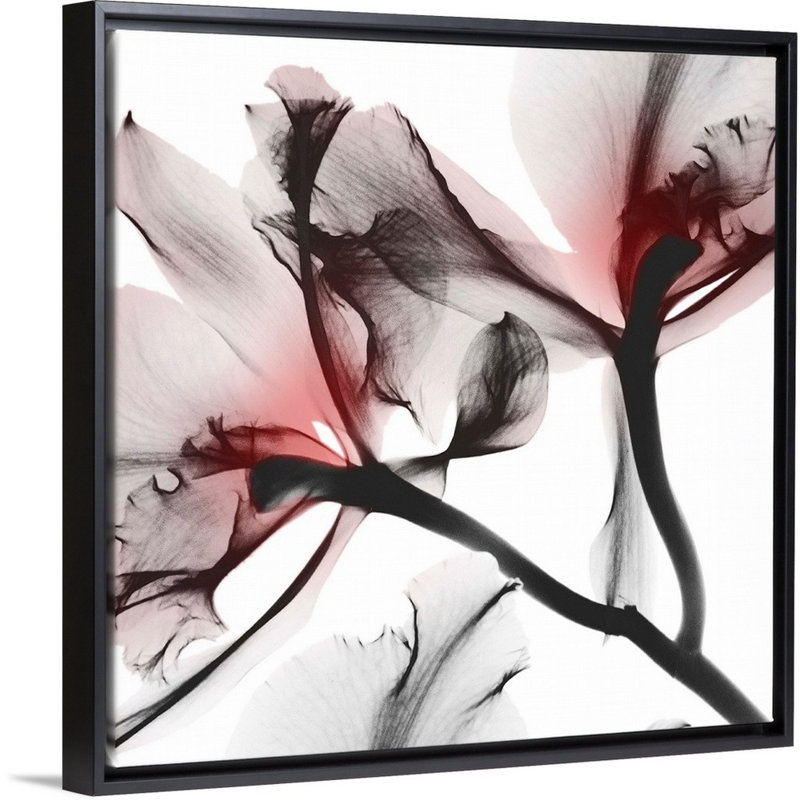 " Coral Lustre 1 " by Albert Koetsier, 18" H x 18" W x 1.75" D, Black Framed