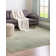 Glasser Oriental Indoor Rug