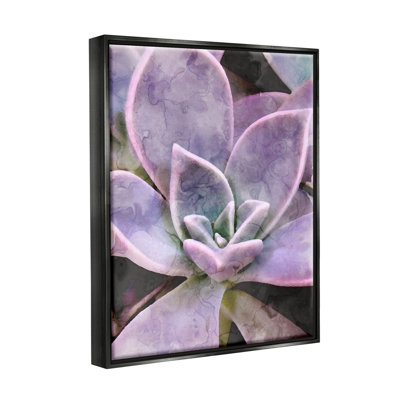 Purple Succulent Close Up by Daphne Polselli - Floater Frame Painting on Canvas