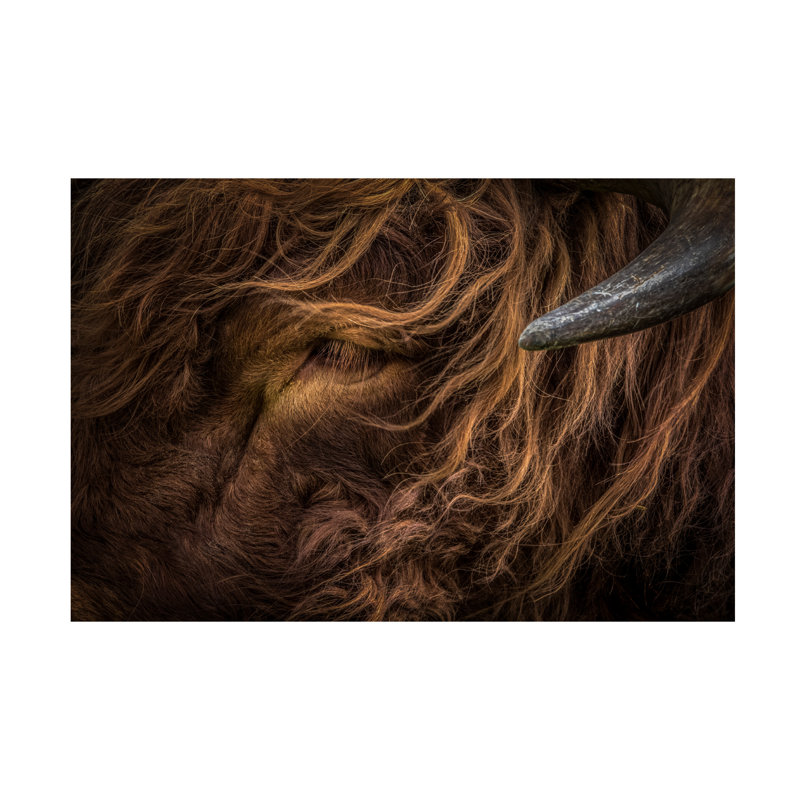 «Linda Wride Redhead», art sur toile, H 16 po x l 24 po