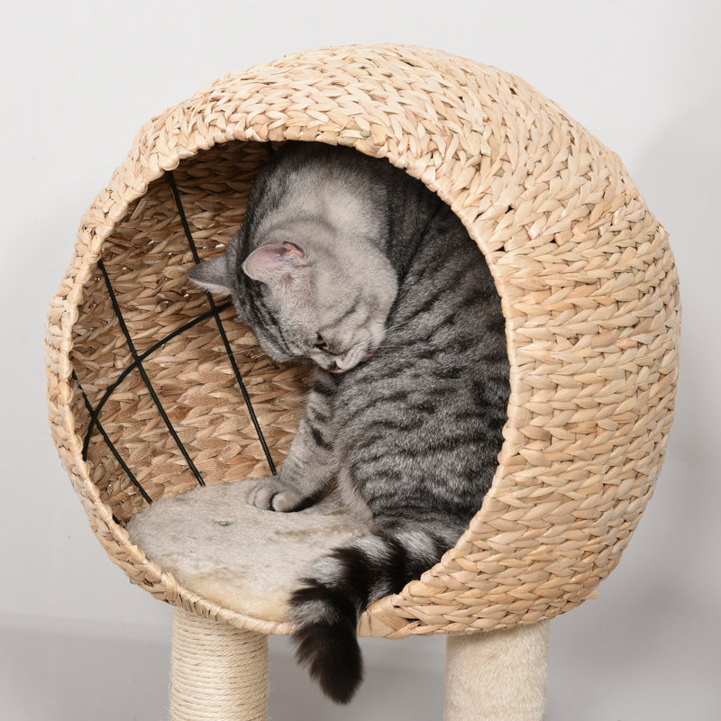 100cm H Cat Tree