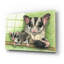 «Sugar Glider» par Barbara Keith - impression non encadrée-251488472
