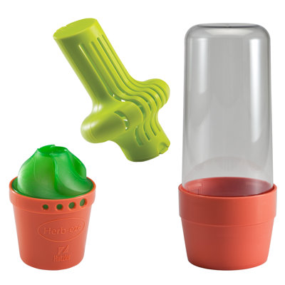 Ensemble de 3 plantes fraîches Ketchum