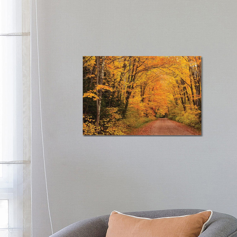 Shady Lane by Brian Wolf - Wrapped Canvas Print