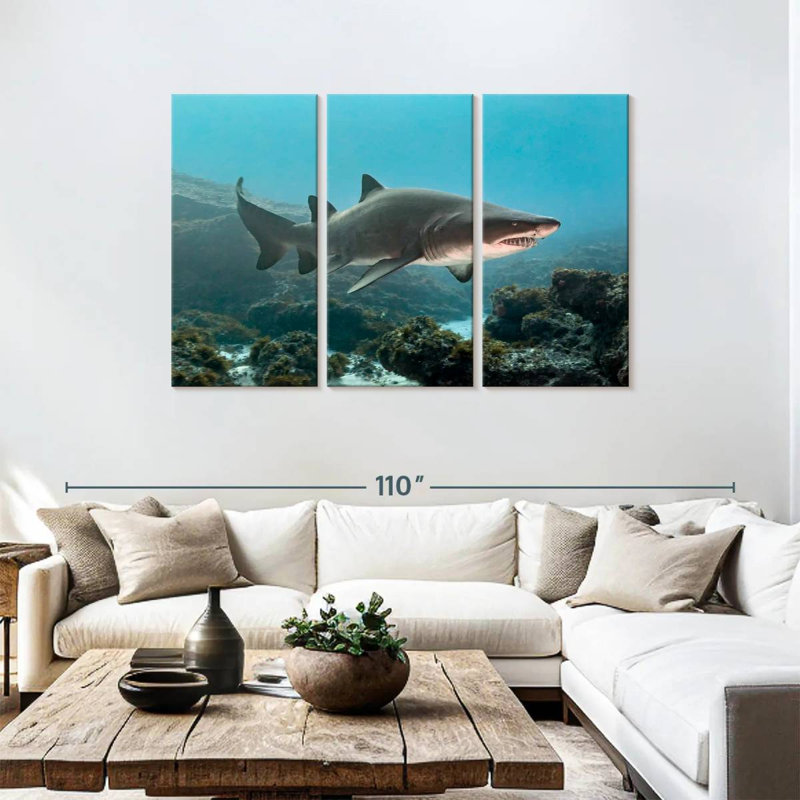 Aliwal Shoal Shark
