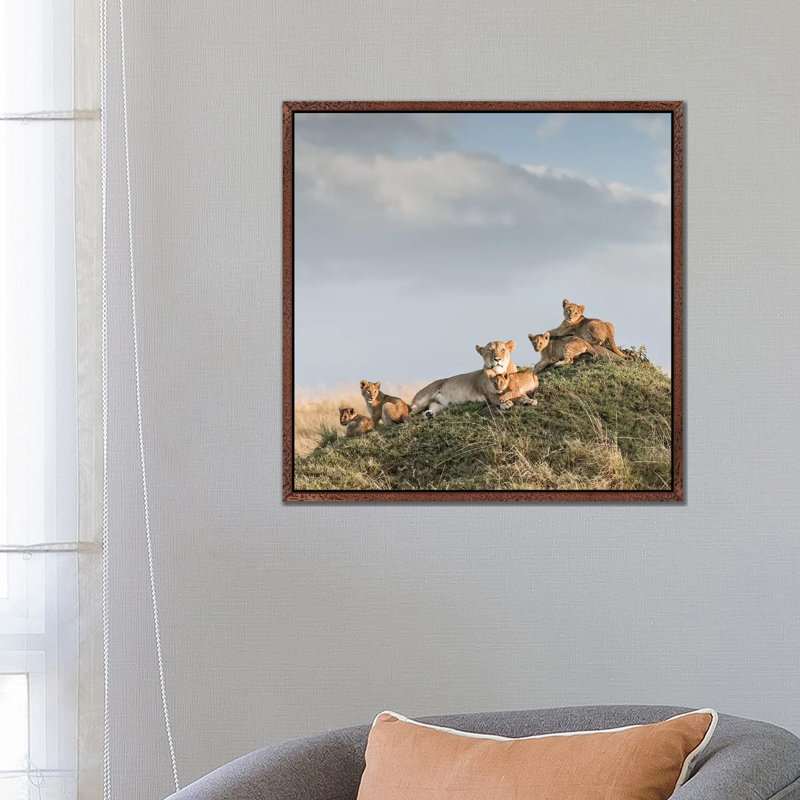 Colour Lioness & Cubs by Klaus Tiedge - Print on Canvas, Classic Brown Wood Framed Canvas, 66.04 cm H x 66.04 cm W