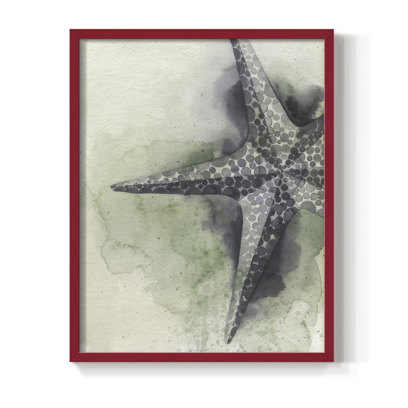 «Found Starfish II», reproduction encadrée - bois massif, H 15 po x l 12 po, Rouge