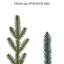 Gille 7.5' Lighted Artificial Fir Christmas Tree
