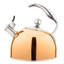 Viking 2.6-Quart Stainless Steel Kettle with 3-Ply Base-389157793