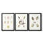 Pastel Knorr Shells I - impression encadrée sur mesure de qualité supérieure - 3 pièces-1138396166-1138396216