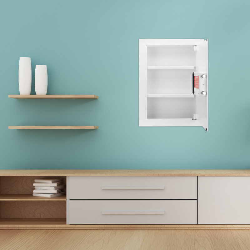 Biometric Wall Safe
