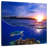 Alvord Sunset Sea Turtle-109376881