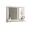 Ezpeleta 60 mm W 45 mm H Framed Mirrored Bathroom Cabinets 1 Shelves with Mirror-1497370252