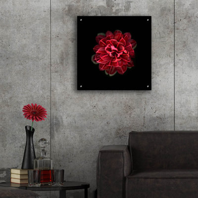 " In Red " by PhotoINC Studio