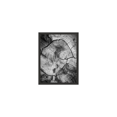 Burnt Origins Grain