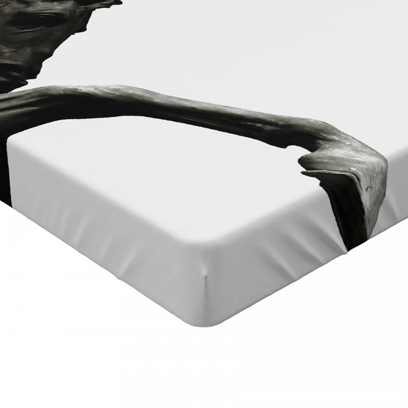 Microfiber Fitted Sheet, Twin XL Fitted Sheet