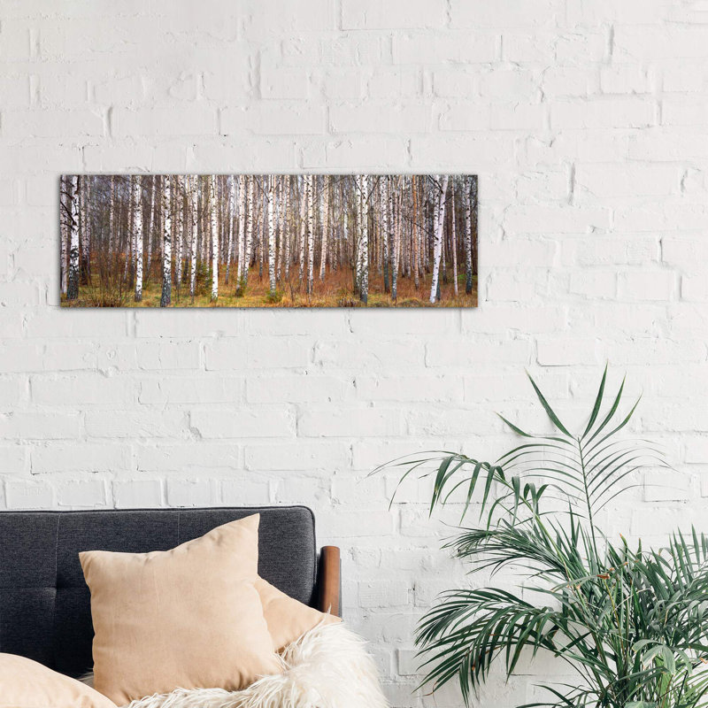 Silver Birch Trees In A Forestnarke, Sweden - Wrapped Canvas Panoramic Print, Wrapped Canvas
