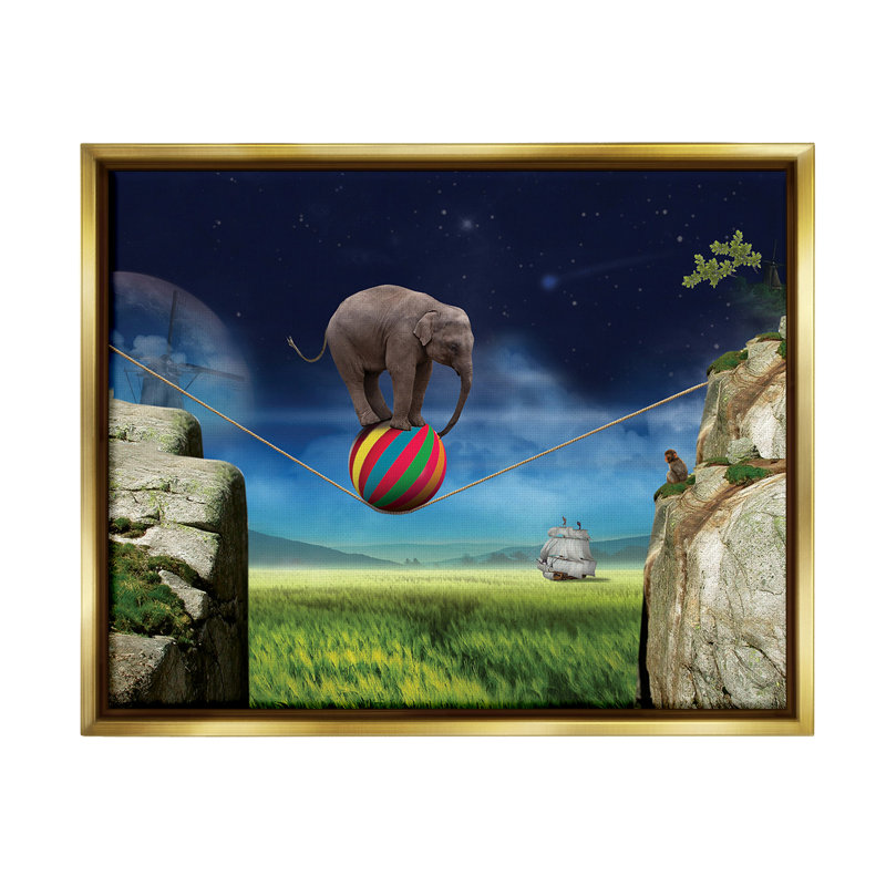 «Elephant Balancing On Ball» par Noble Works sur toile, Cadre flottant métallique doré, H 17 po x l 21 po