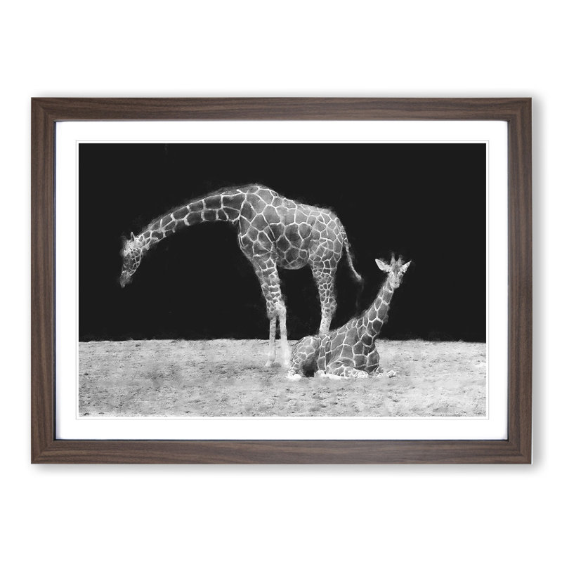 Two Giraffes Vol.3 - Framed Print, 27cm H x 36cm W x 2cm D, Walnut Framed