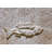 6'' x 6'' Compressed Stone Decorative Accent Tile