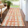 Zakye Indoor / Outdoor Rug