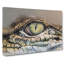 Crocodile Eye - Wrapped Canvas Print-55317149